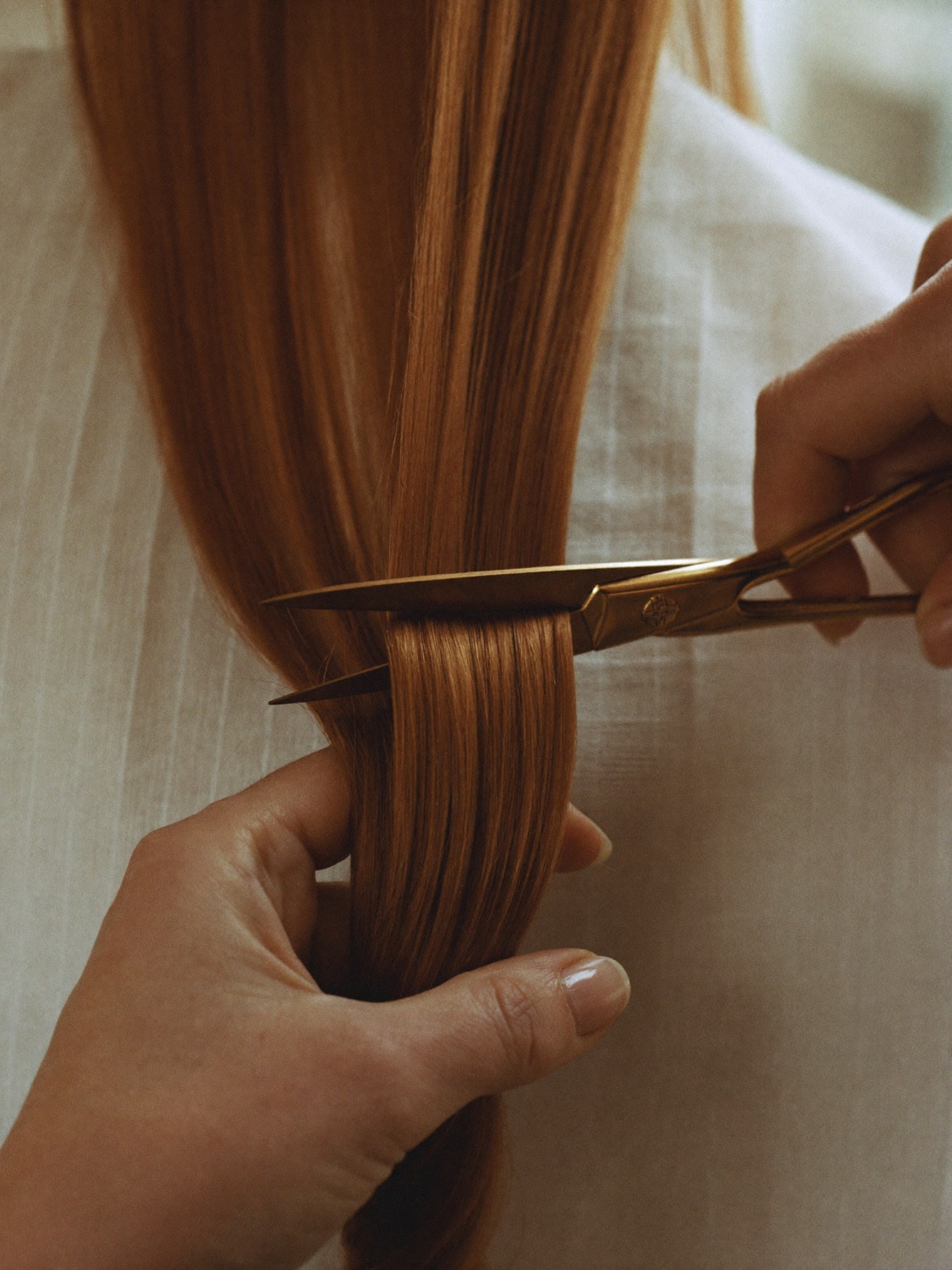 Shears cutting a clean line through a section of hair